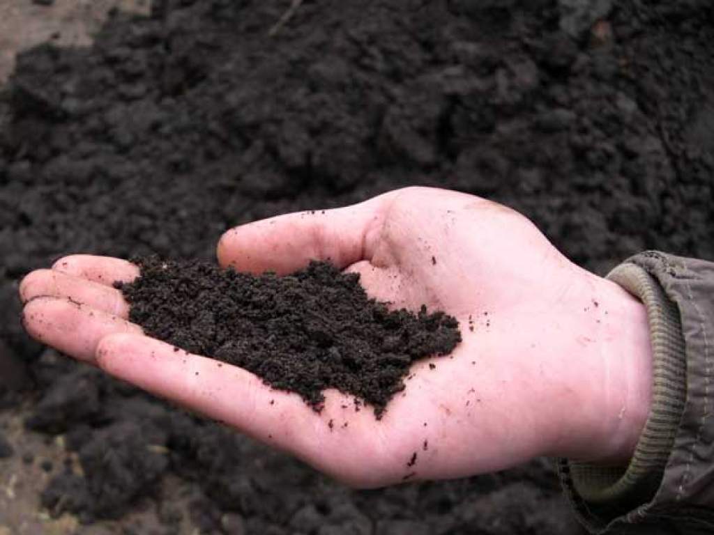 хорошая почва
